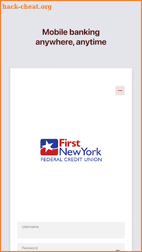 First New York FCU screenshot