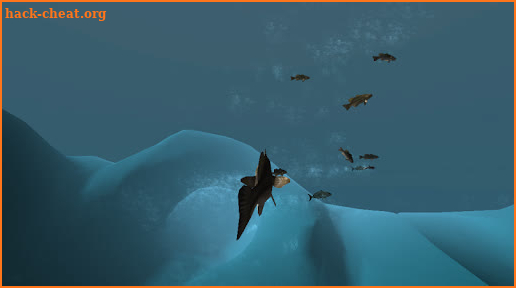 Fish And Grow Feeding Simulator screenshot