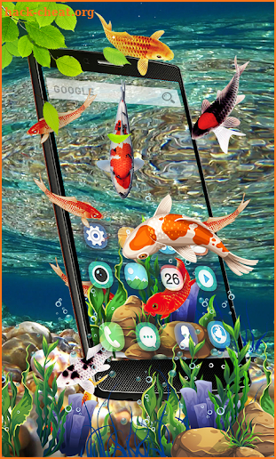 Fish Aquarium Live Wallpaper Koi Fish Application screenshot