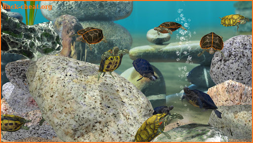 Fish Farm 3 - 3D Aquarium Simulator screenshot