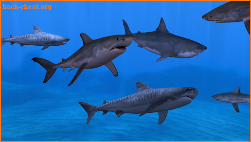 Fish Farm 3 - 3D Aquarium Simulator screenshot