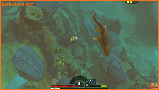 Fish Feed And Grow Tips screenshot