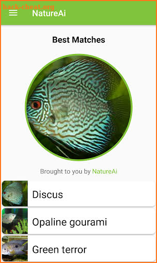 Fish Identifier screenshot