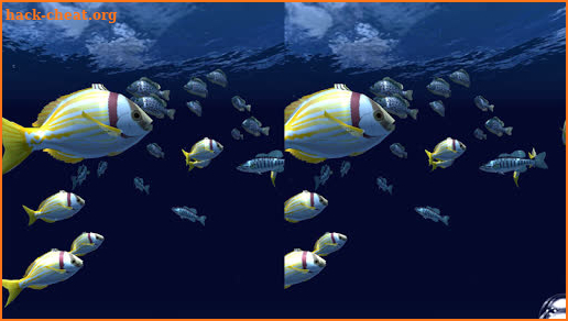 Fish Schooling VR screenshot