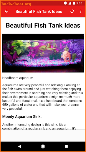 Fish Tank Ideas screenshot