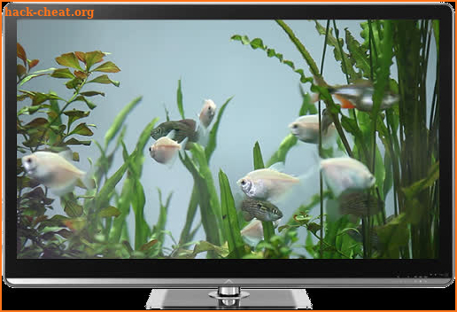 Fish Tank on TV via Chromecast screenshot