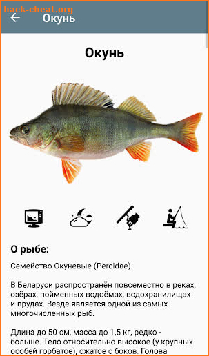 FishNewPro/Full screenshot