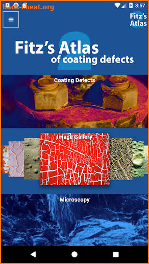 Fitz's Atlas of Coating Defects screenshot