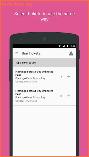 Flamingo Fares Tampa Bay screenshot