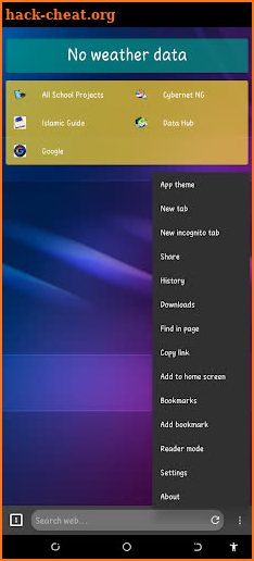 Flash Browser screenshot