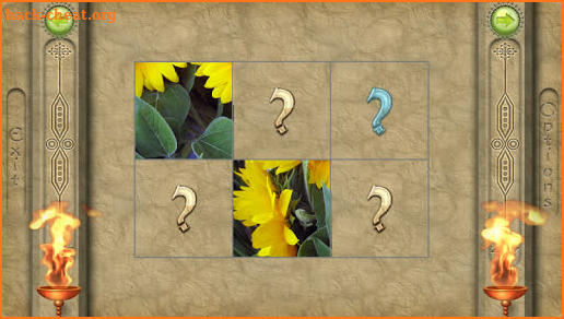 FlipPix Jigsaw - Posies screenshot