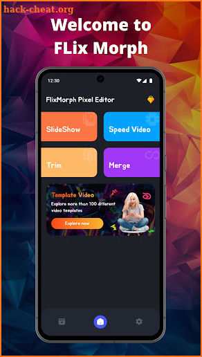 FlixMorph Pixel Editor screenshot