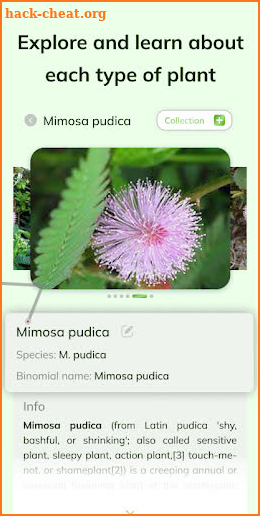 FloraFinder: Plant ID screenshot