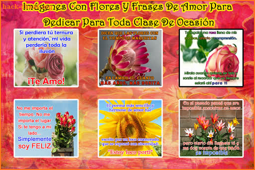 Flores Con Frases screenshot