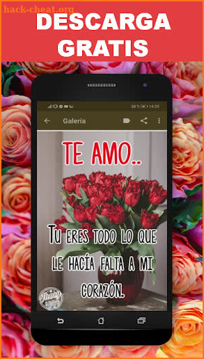 Flores y Rosas de Amor con Frases Románticas screenshot