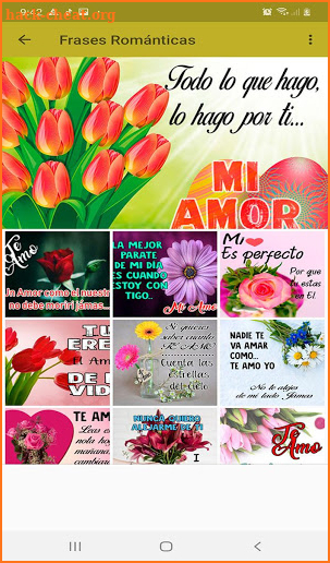 Flores y Rosas de Amor con Frases Románticas screenshot