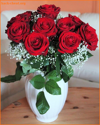 Flores y Rosas Rojas imágenes gratis screenshot