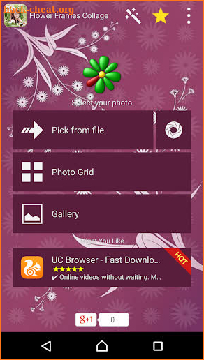 Flower Frames Collage screenshot