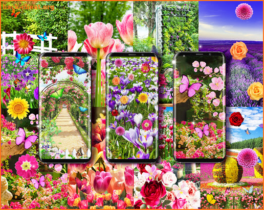 Flower garden live wallpaper screenshot