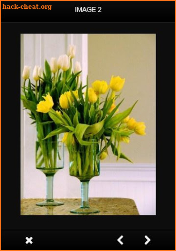 Flower Vase Ideas screenshot