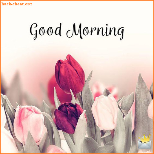 Flowers Morning Images Gif screenshot