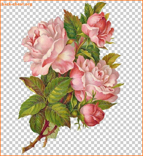 Flowers Stickers Packs 2020 WAStickerApps screenshot