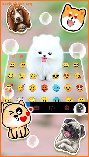 Fluffy Cute Dog Keyboard Background screenshot