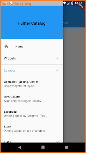 Flutter Catalog screenshot