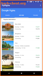 FlyFlights - Google Flights screenshot