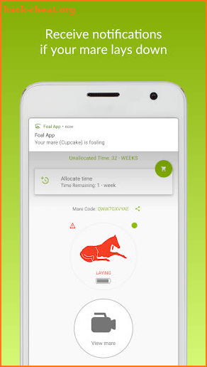 Foal App screenshot