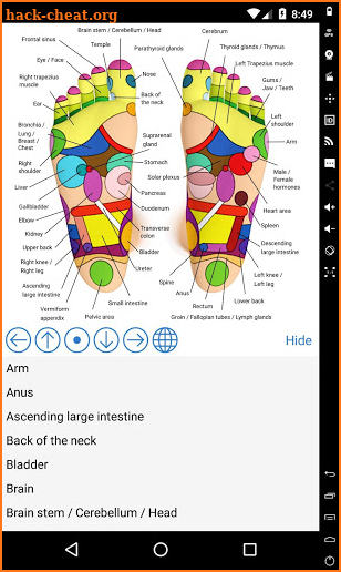 Foot Reflexology Chart screenshot