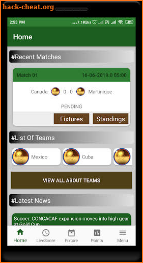 Football Gold Cup 2019 Live Score & Standings screenshot