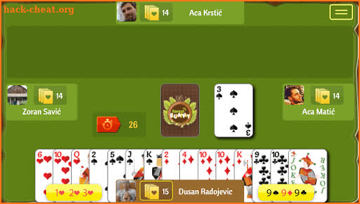 Forest Rummy screenshot