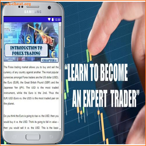 Forex Trading Beginner's Guide screenshot