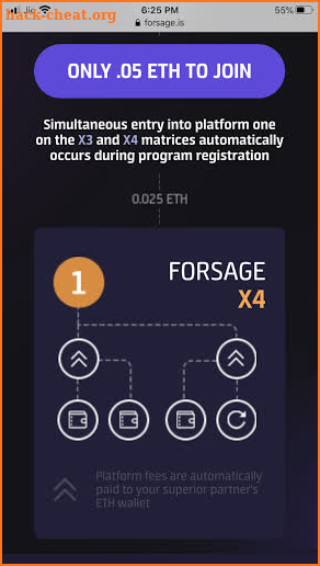 Forsage.io screenshot