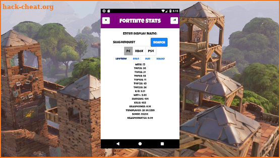 Fortnite Stats screenshot