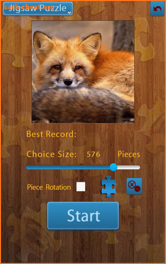 Fox Jigsaw Puzzles screenshot