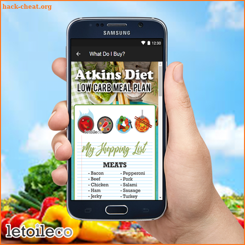 Free Atkins Diet Low Carb Meal Plan (Weight Loss) screenshot