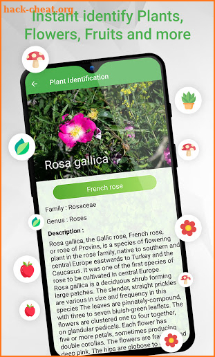 FREE Plant Identification - PlantFinder screenshot