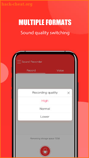 Free Voice & Audio Recorder screenshot