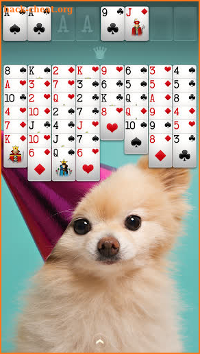 FreeCell Solitaire screenshot