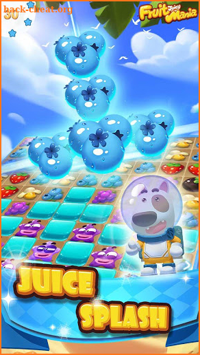 Fruit Juicy Mania screenshot