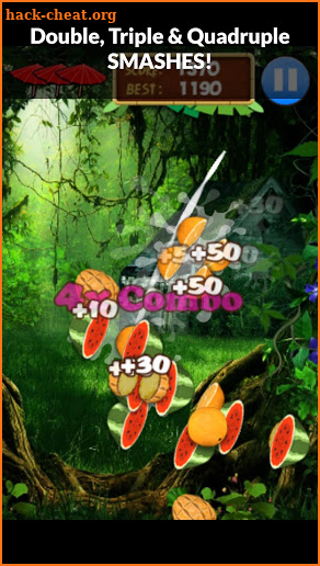 Fruit Ninja Madness - LITE screenshot