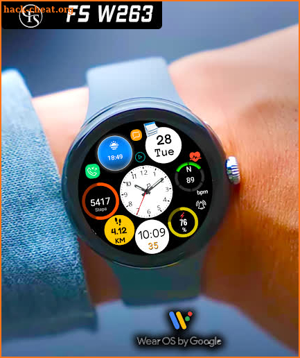 FS W263 Hybrid Watch face screenshot