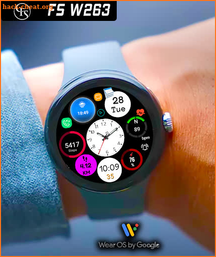 FS W263 Hybrid Watch face screenshot