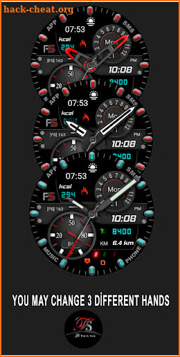 FSW204 WATCHFACE screenshot