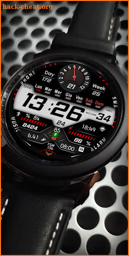 FSW205 WATCHFACE screenshot