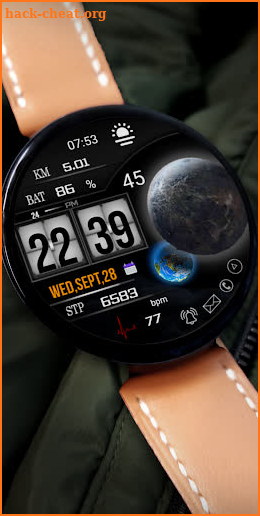 FSW209 WATCHFACE screenshot