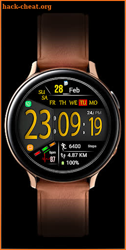 FSW219 WATCHFACE screenshot