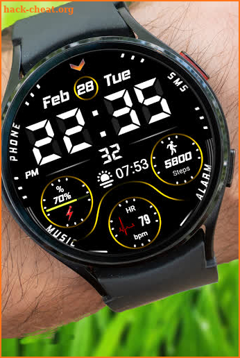 FSW220 WATCHFACE screenshot